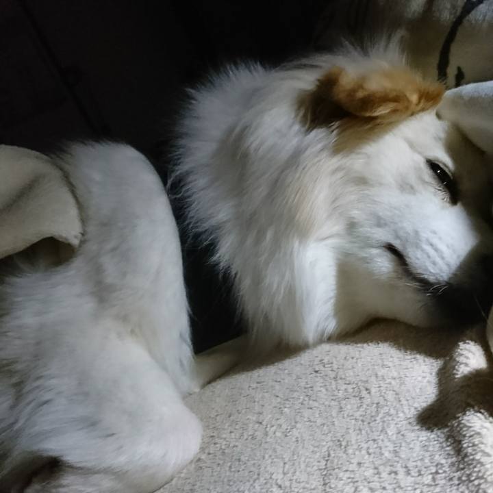 B6745d28 105d 44eb 8d80 326fe2e69470