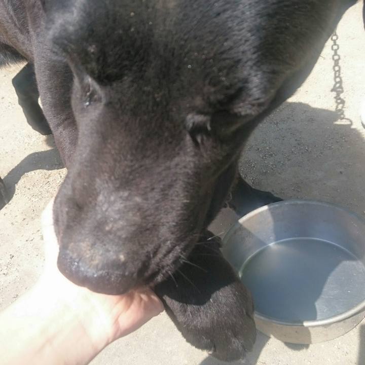 B676028b 9116 45b0 a531 4eac0584c17f