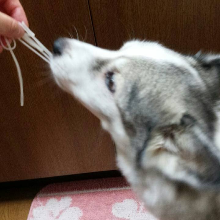 B6764a01 3223 4c8c 9522 308c8b371dd6