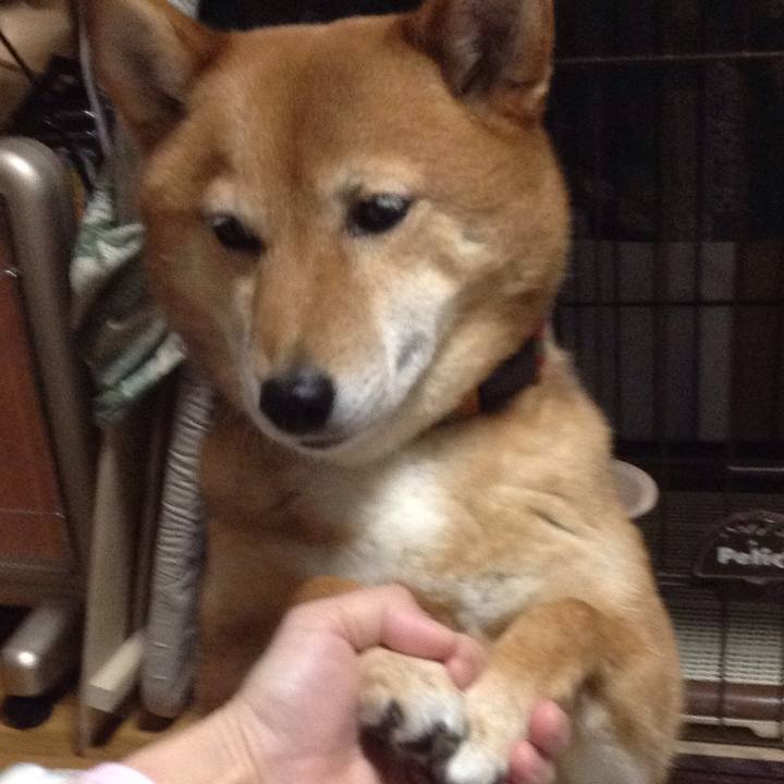 B676846d 8ada 4802 8b6b c59fe0149e65