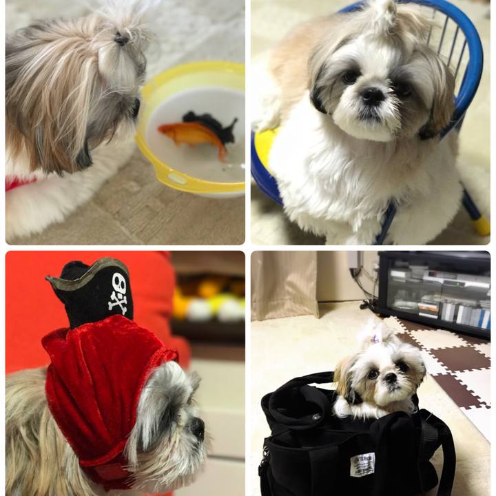 B676d0b1 9e23 4fb7 b1c5 dd777445c698