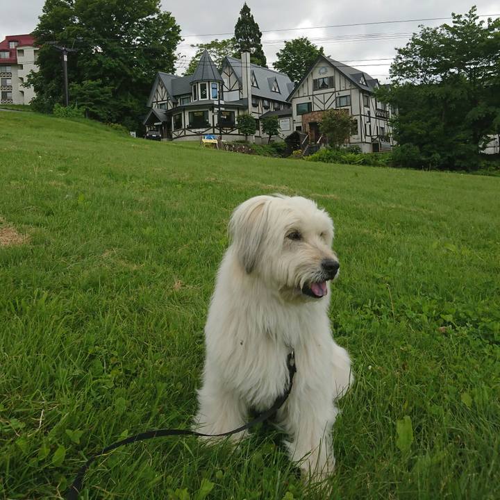 B6776932 b32a 4de7 a79d 16d2fbfd4f18