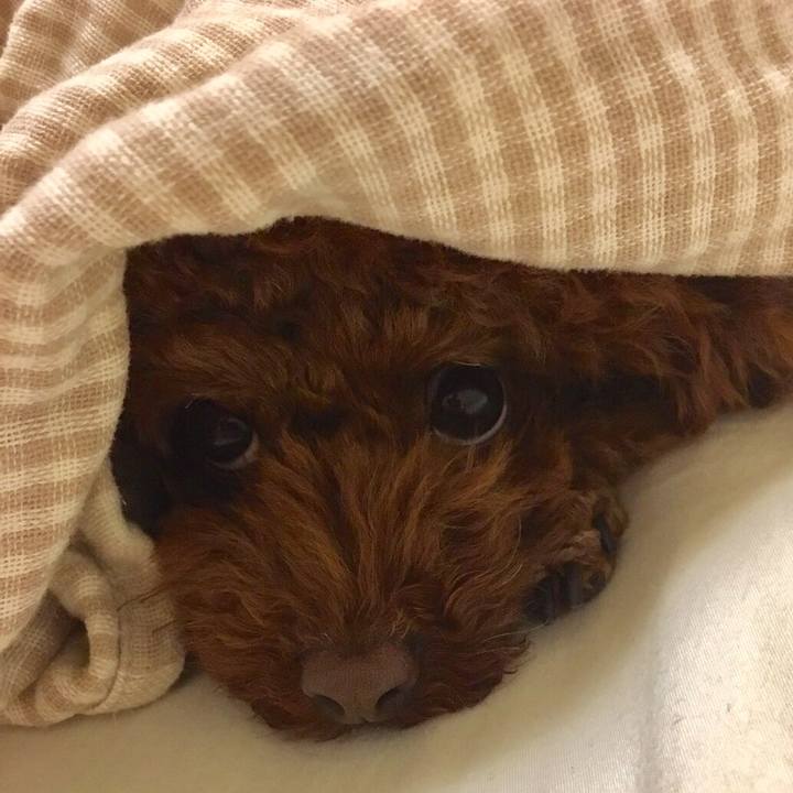 B6779672 7934 4d6f b025 68787a91bac2