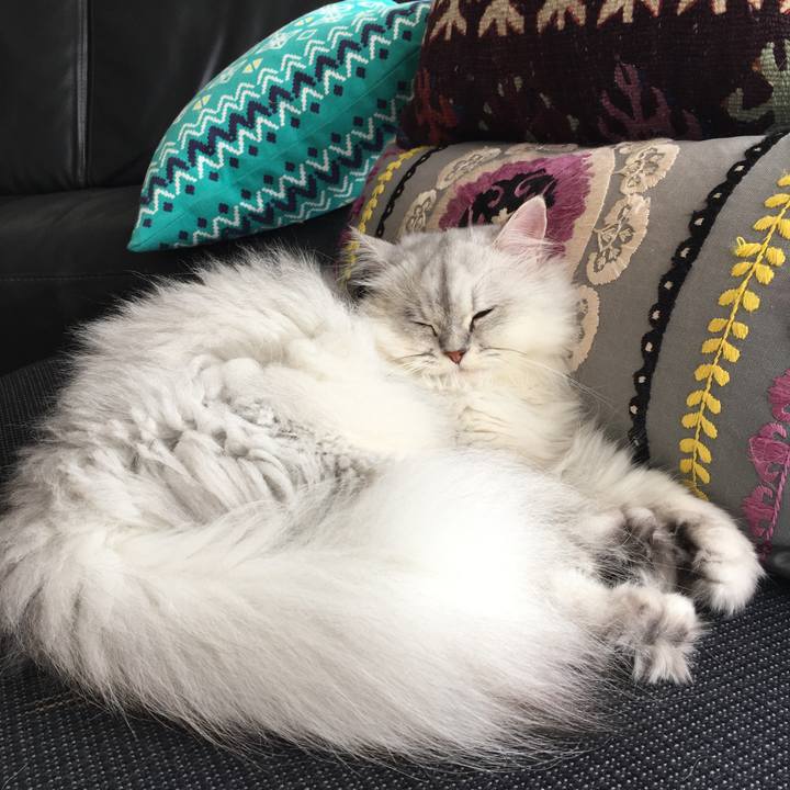 B67867bb fd57 476a a145 b547bef11489