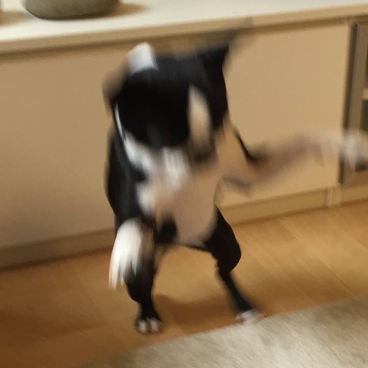 B6786fd3 e13f 4f27 9847 cefc1a2c9810