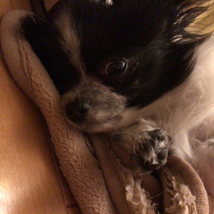 B6792be7 c589 4123 96d5 a8cdfde269de