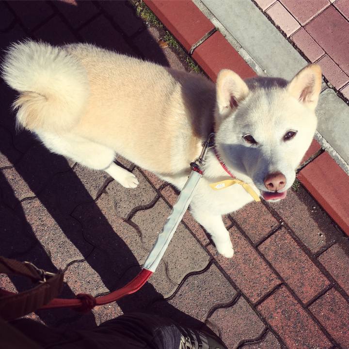 B67950d8 7b3a 4604 9b81 aa625fe24d24