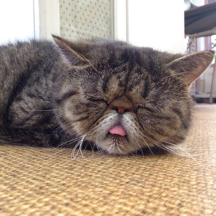 B679c782 9565 4d0d a57f fc5ffb3dd032