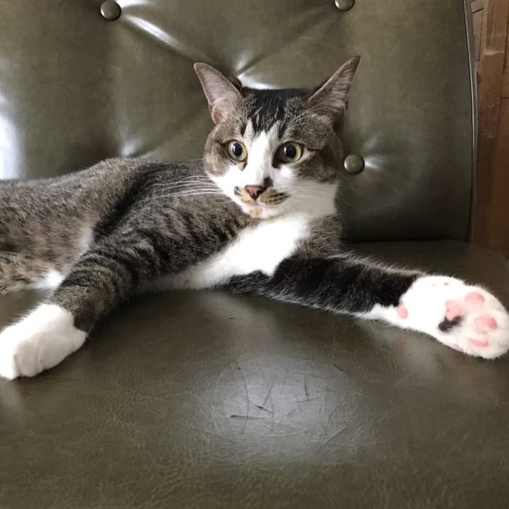 B67a499a a2ed 4db7 9eb0 883a0df4f76a