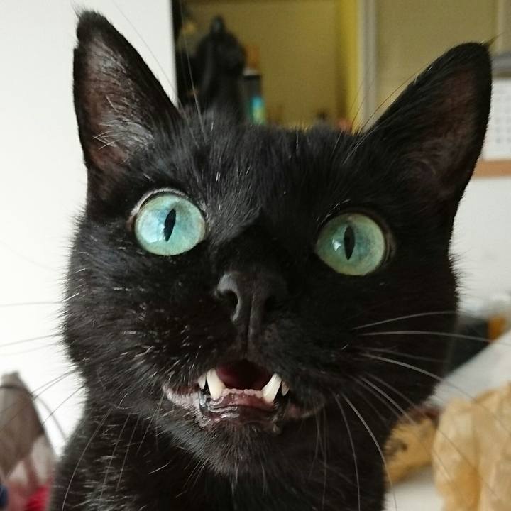 B67aaad3 8109 4a82 b6be 3f2bc4cace6b