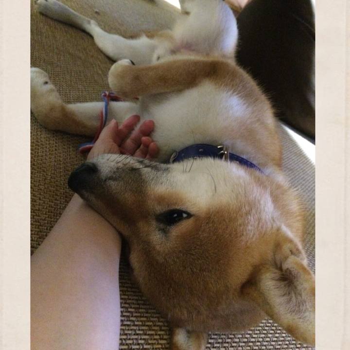 B67ad5ab 696e 415f bf5c 8f1cddd8e56f