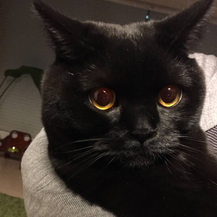 B67b1181 cc8f 4dd8 b8d1 7a517698122e