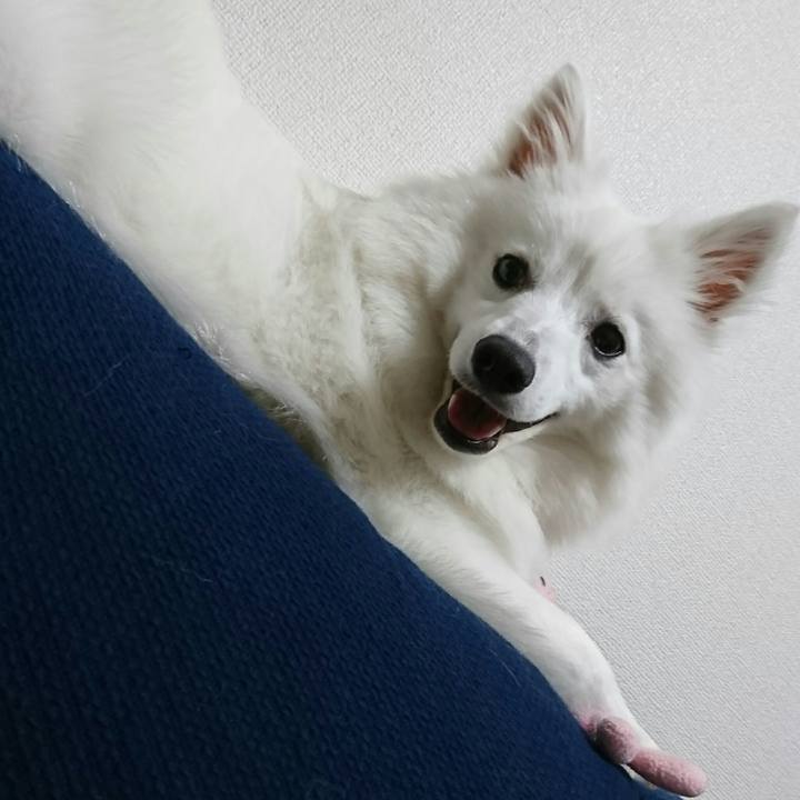 B67caed0 276c 449f b744 79991262fc69