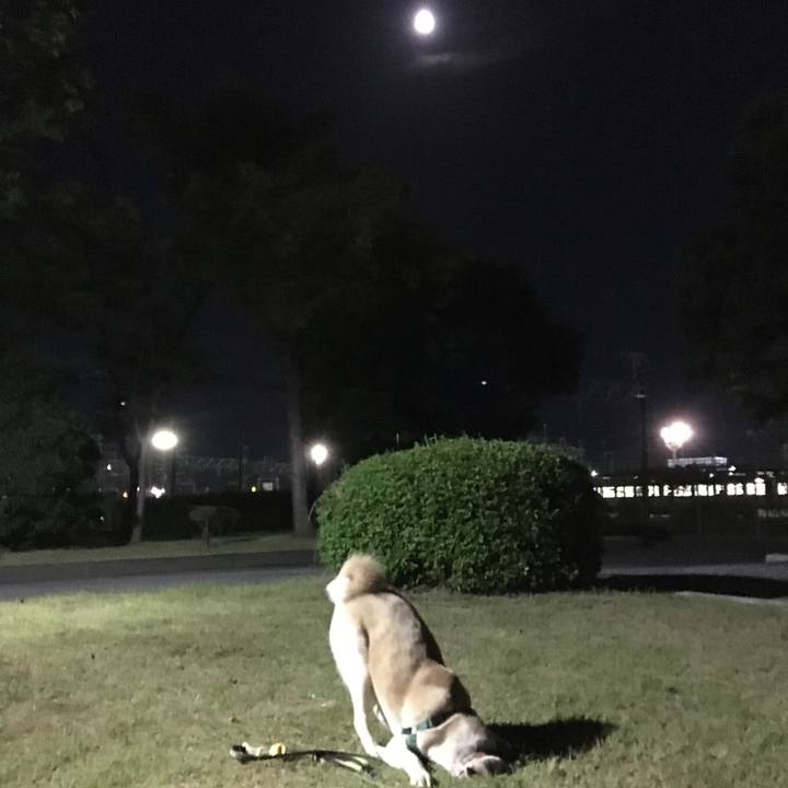 B67cfe52 2dac 4fb7 b285 a13ef432b7c6