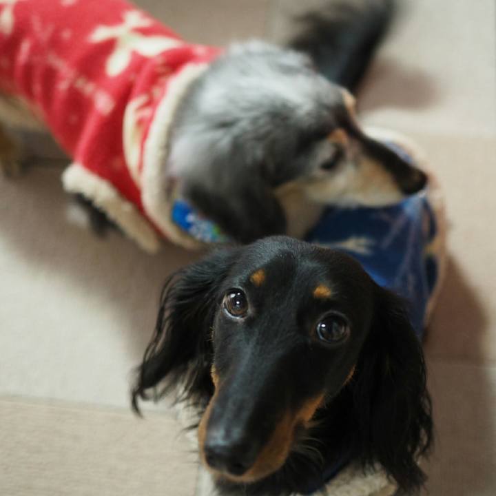 B67d039f 96c3 41c1 ba2f 00a0e3aaea76