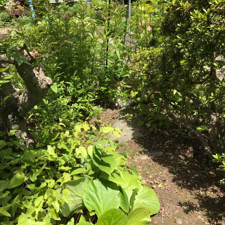 B67d7b90 eee0 496d 8128 95937d156a24