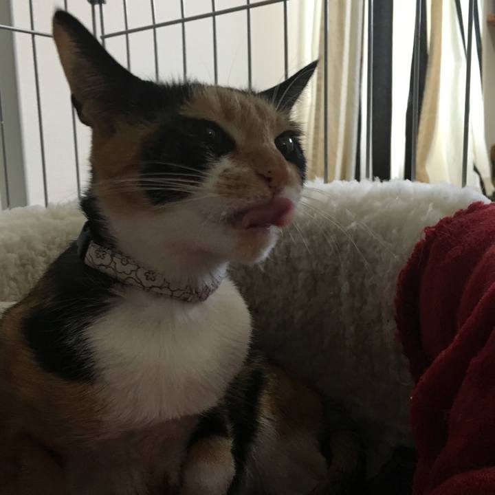 B67d99f4 af16 47ba 81c0 5c9ee0387edb