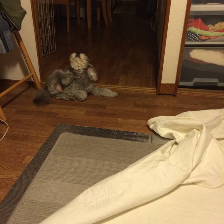 B67ddd3d 3752 4b60 9ea9 e1e2acfc10ee