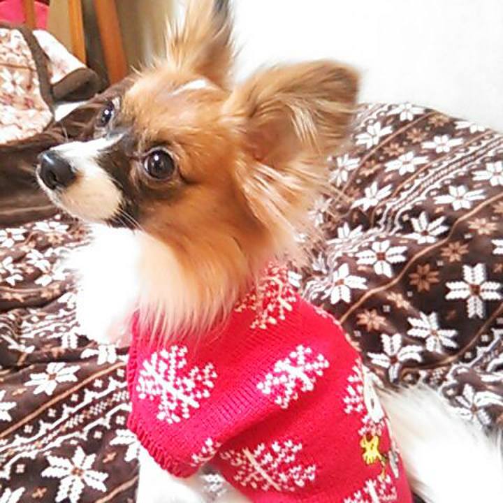 B67eb3a7 e6b5 47ac 9eb5 c2dd7515d607