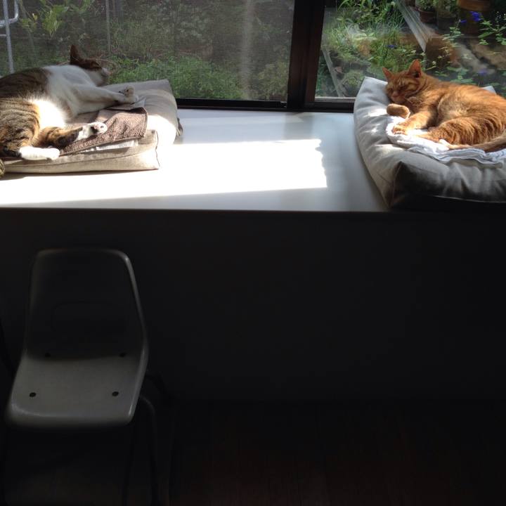 B67ef25b 81cb 4850 9f4b f0f0d15ad3af