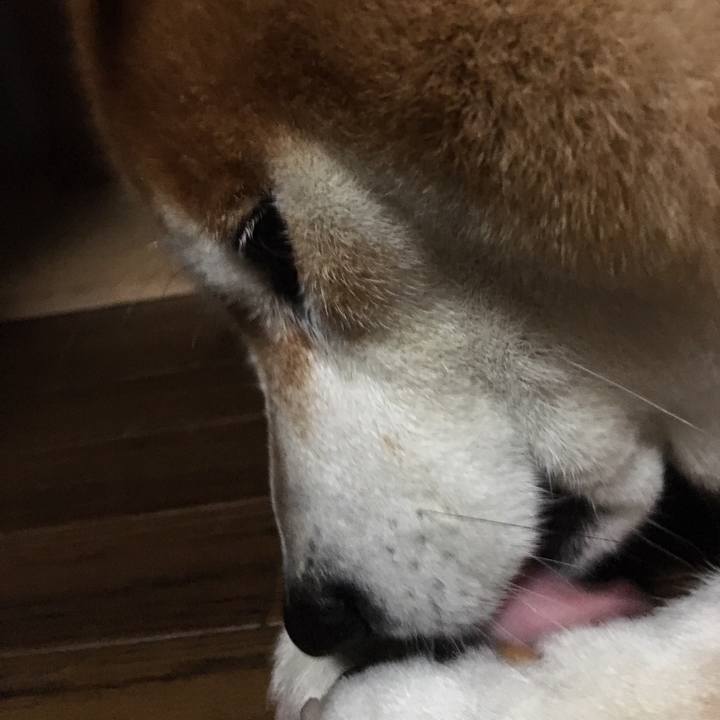 B67f12b5 c901 4624 900c 33757fefe154