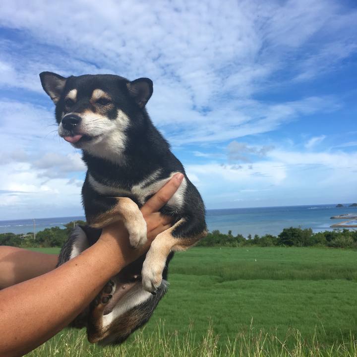 B67f7382 2536 445e b7d3 2af75c10ceda