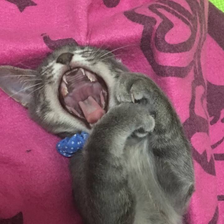 B67fd2d8 fd88 4db8 96b4 d94898c46efd