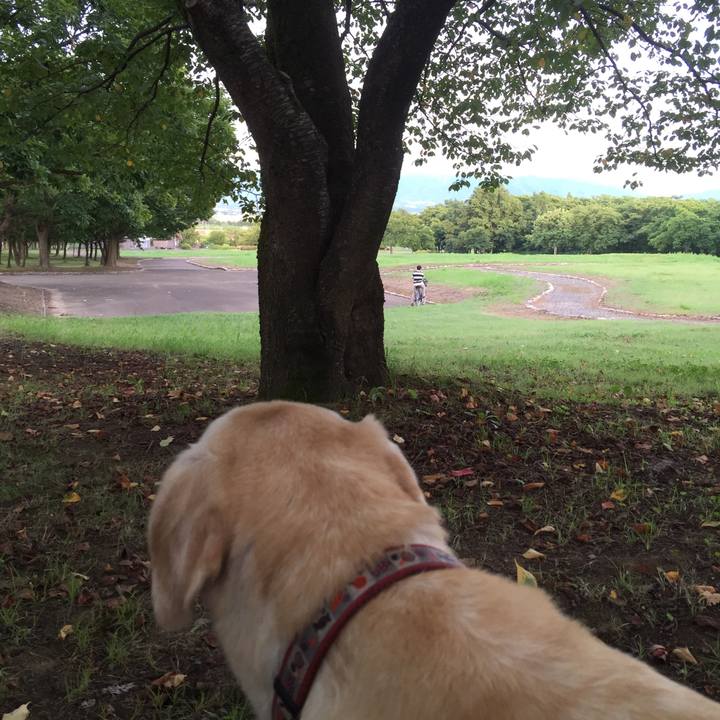 B6803939 1f90 4f7e 95e2 fc40eaa7f1fa