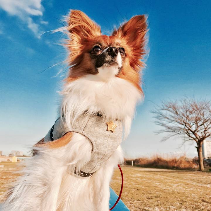 B680bd5c d670 4c0d 996c 64632b86ad63