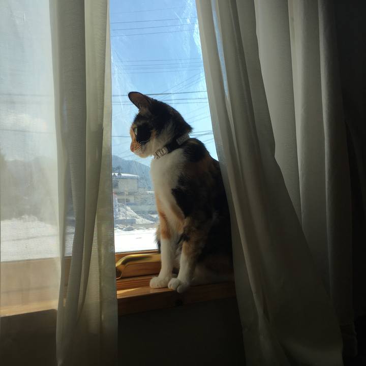 B6811849 4ca6 4182 9ac6 91b50b61c199