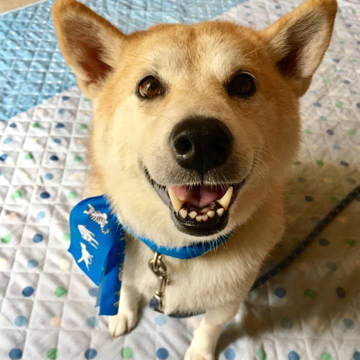 B681a3f5 a59c 4192 965c bde6c876de39