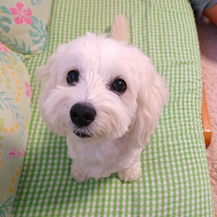 B681c7e4 f03e 47f0 8ff1 6295c4df80fe