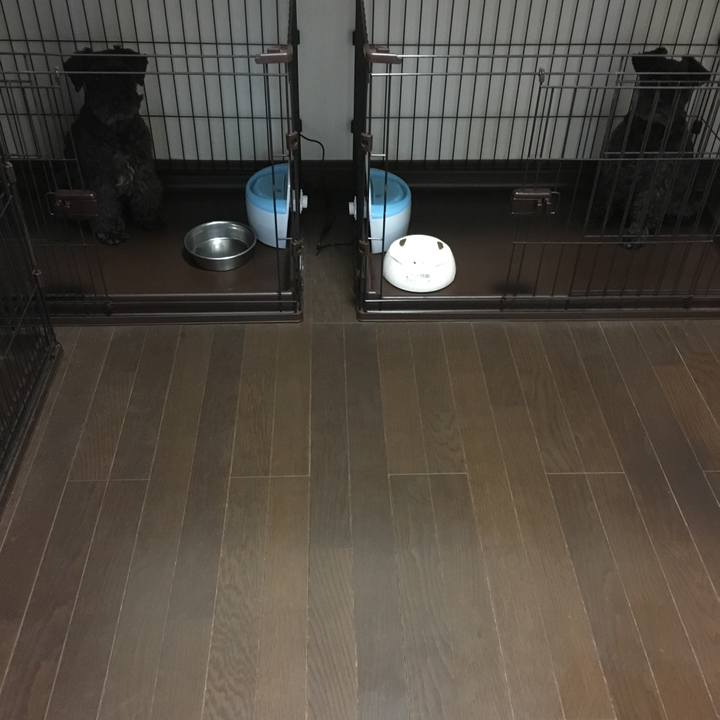 B6821892 2e3a 46b9 a3b8 f64b96c62dc0