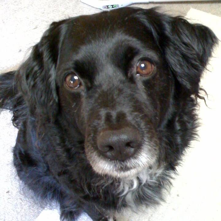 B6823c78 952b 43f8 942b aa5da7af6af1