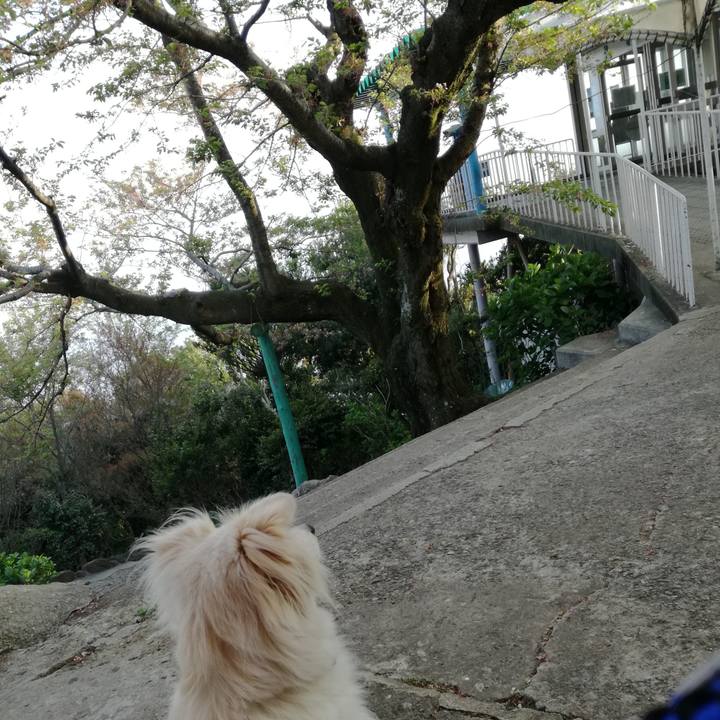 B682aab7 e123 4266 92e0 346bec546636