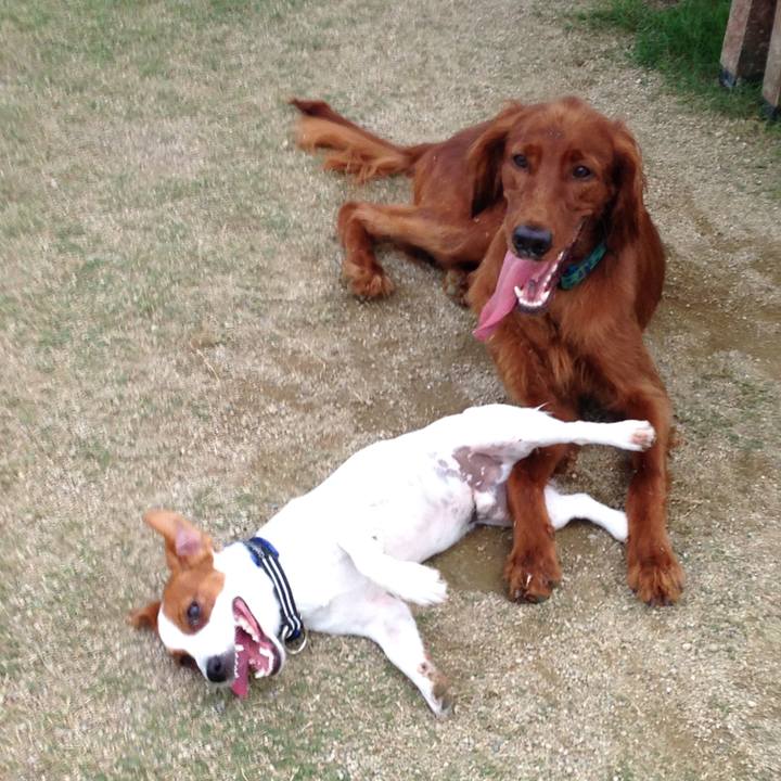 B682db76 73cf 4e26 8a71 53863231bcd6