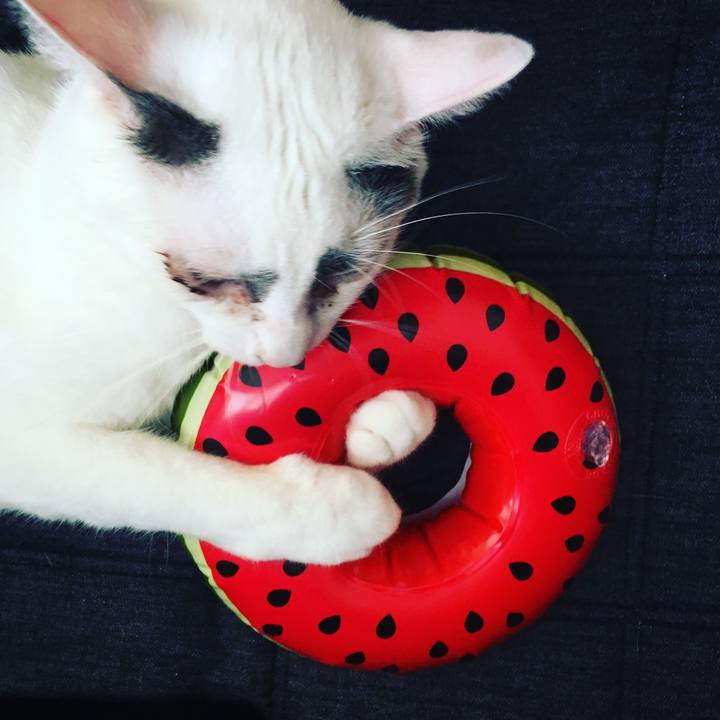 B6835222 7fba 4864 bf39 3021b168942a