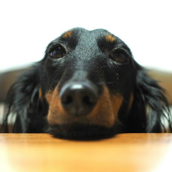 B6839f61 499a 4690 9efb 56f27095e179