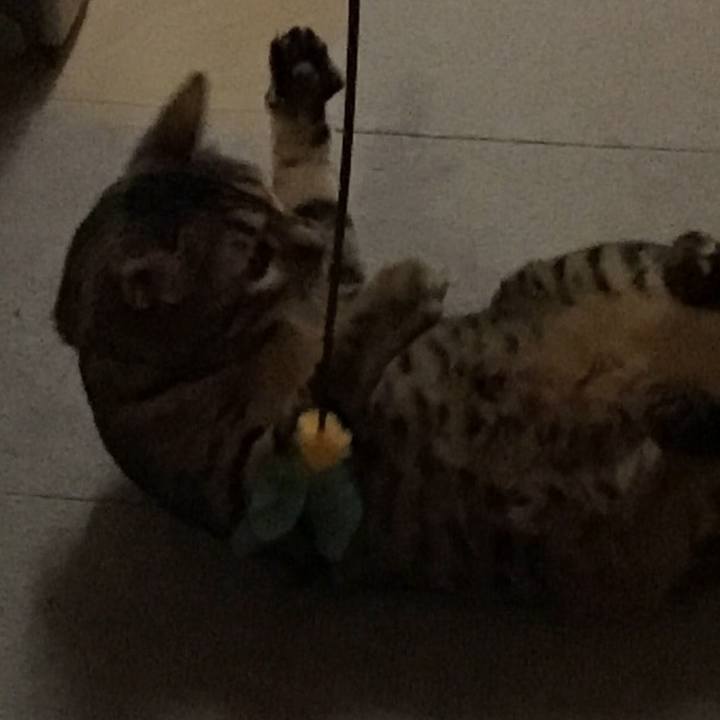 B6841961 cfde 413d 9c39 594b24ad472f