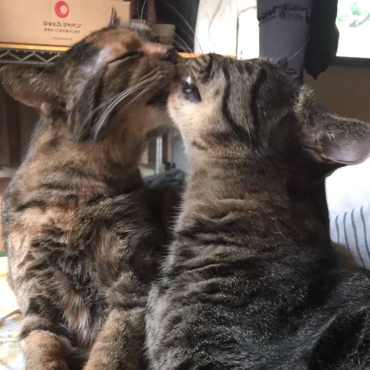 B684426f 3cdb 4f3e be1c 3dc593b3afce