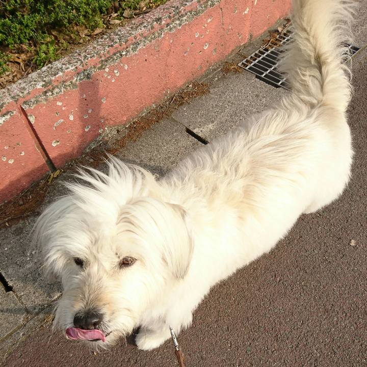 B6849e59 a978 411b 8fe4 6d23650f25d5