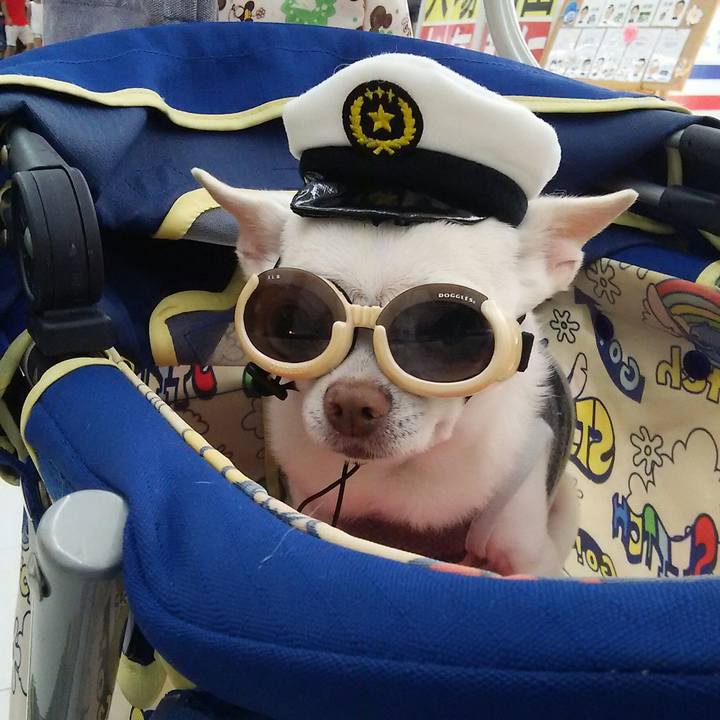 B6852eea eb3b 4cc3 ae25 d5ced99a7a92