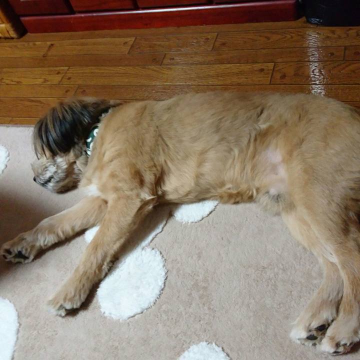 B68548ad c05a 42c0 9479 d809e92a3ee3