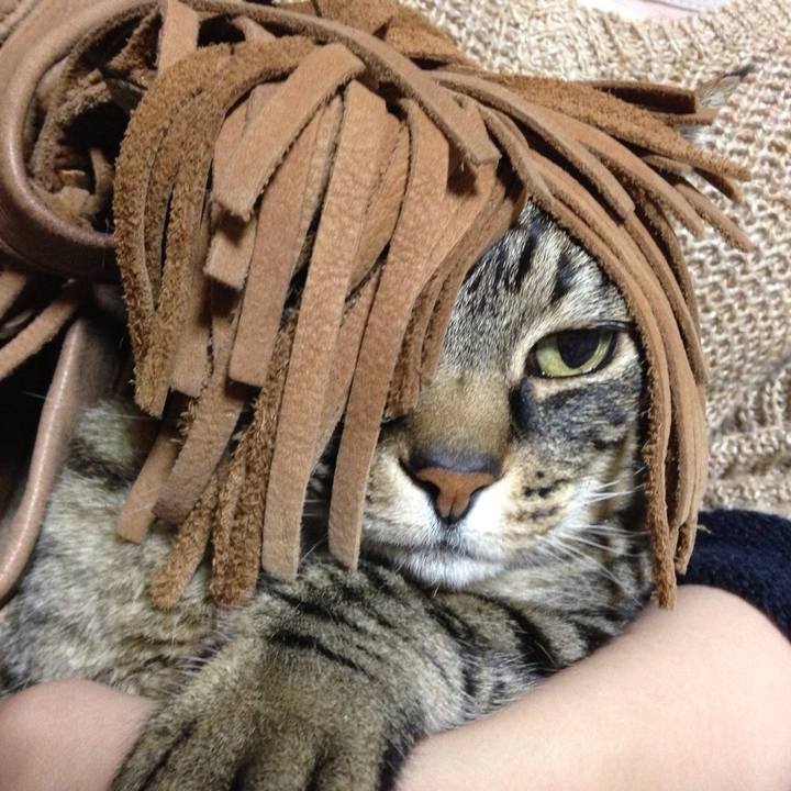 B685c1fb c626 4bf2 9f09 b9c37c0d69ac