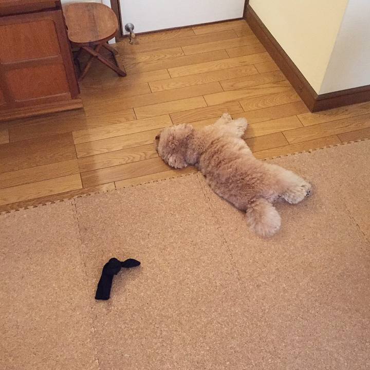 B686120d b025 45fb a6a1 a3468c72fffb