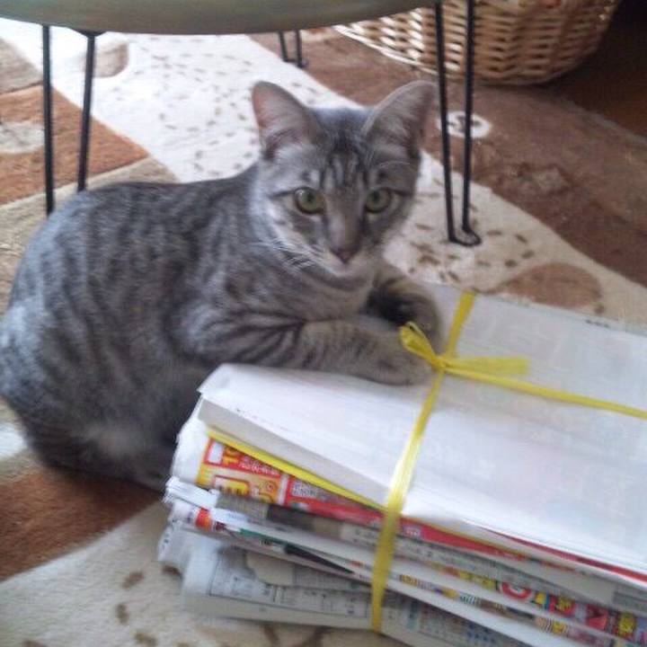 B6861a8e 759e 4976 9389 828ffd0dbf09