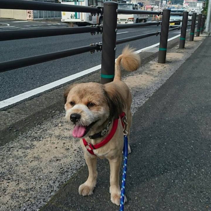 B68667fc 310f 444b a377 5573132dc189