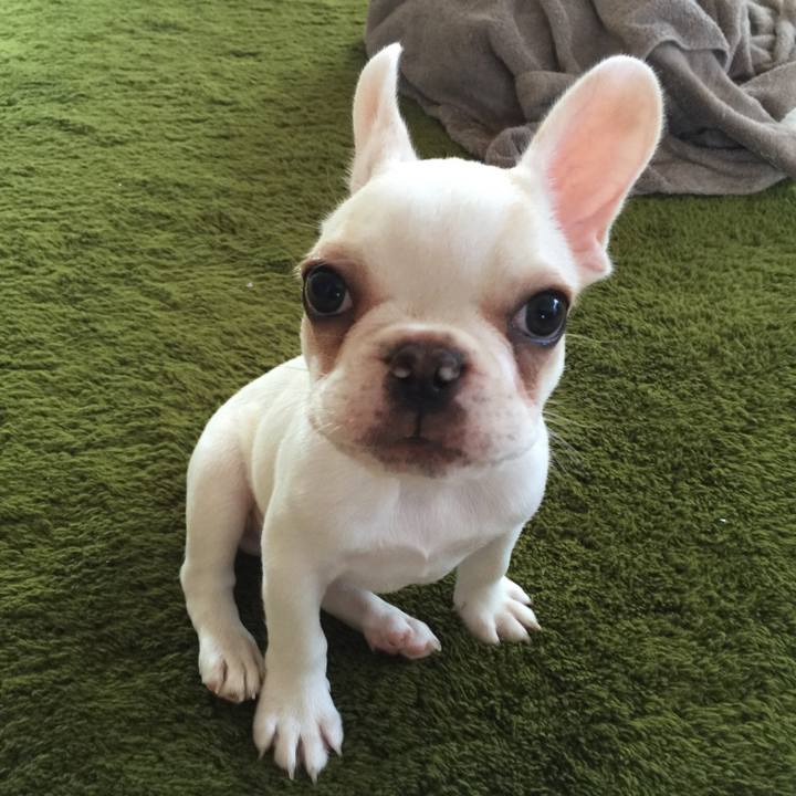 B686a462 227e 49a4 a788 b1b0a37620fb