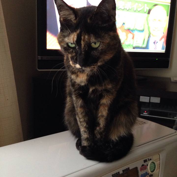 B6870367 06e6 4d51 8afb 2415e3f013a8