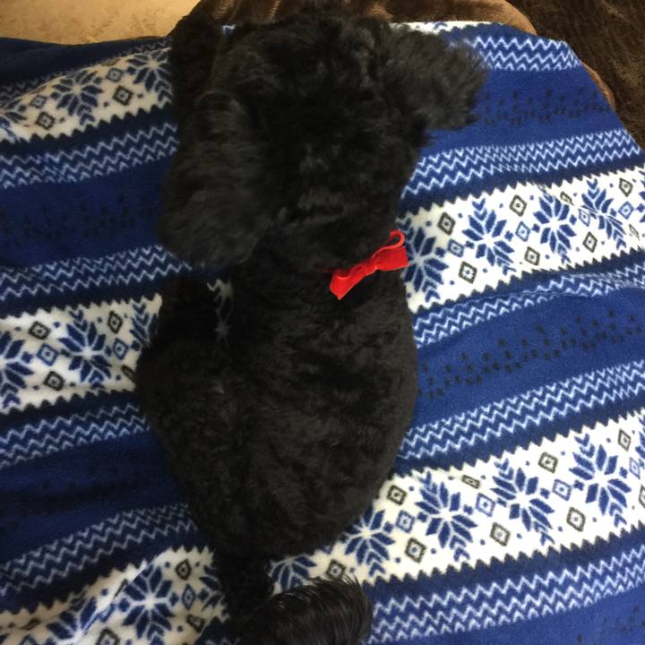 B68724c4 b231 45cd b28a 7a240c5fc9a1